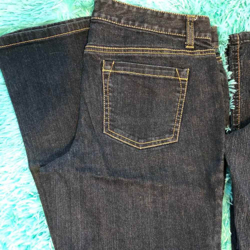 Ann Taylor Jeans